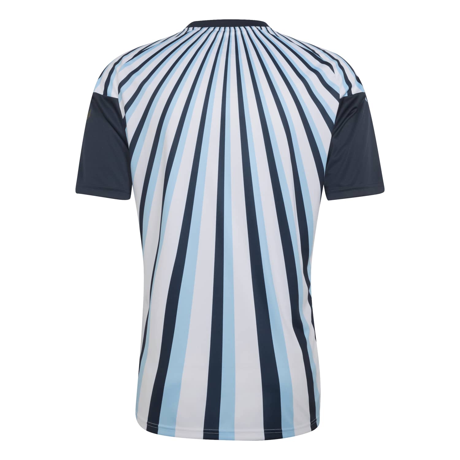 Camisa Argentina 2026 Mandante Aquecimento Masculina - Imagem 2
