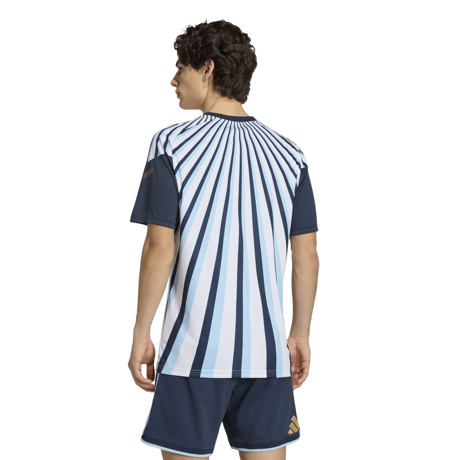 Camisa Argentina 2026 Mandante Aquecimento Masculina - Imagem 4