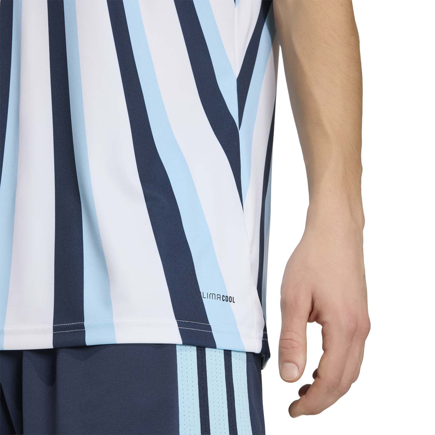 Camisa Argentina 2026 Mandante Aquecimento Masculina - Imagem 7