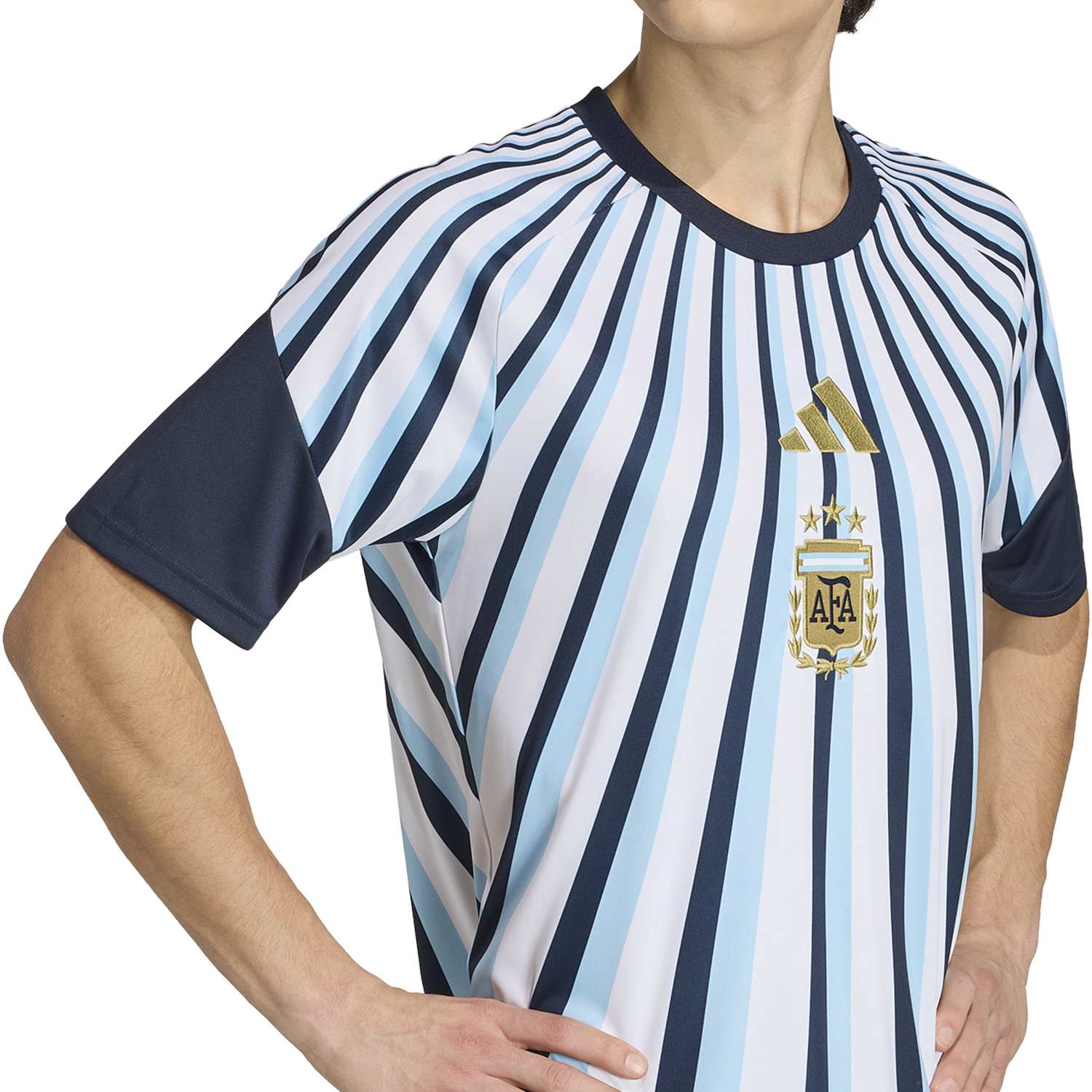 Camisa Argentina 2026 Mandante Aquecimento Masculina - Imagem 6